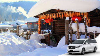 乱象丛生的接送江湖