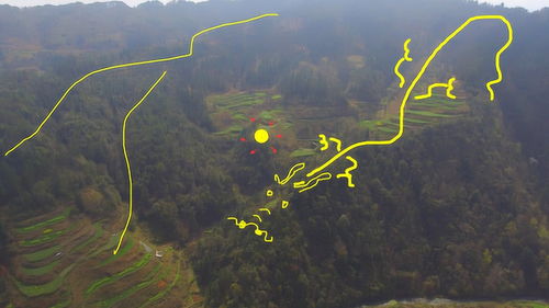 四、 情感炸裂区——给祖先写情书
