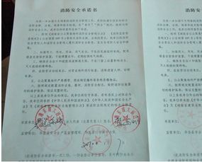 法律文件还是废纸？揭开责任保证书的虚伪面纱