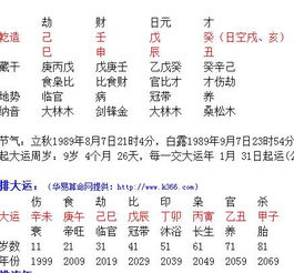 三、 结合“辰”的意象与声音进行杂乱测试