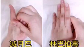 二、女性视角：手腕细的美丽解读