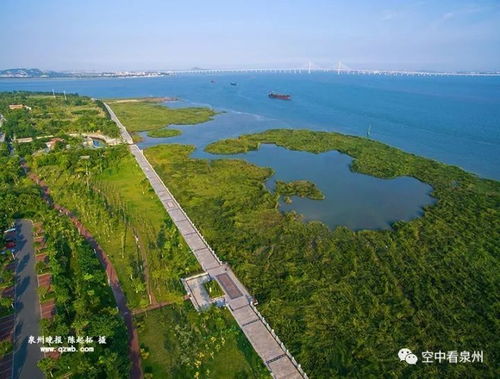 早上7点：和晨跑的人抢海风