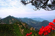 三、第二天：深入九华山核心区域