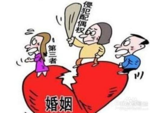 婚姻被第三者插足导致破裂，能否起诉算命者说婚姻会被人插足？