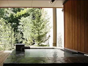 住宿的选择与纠结