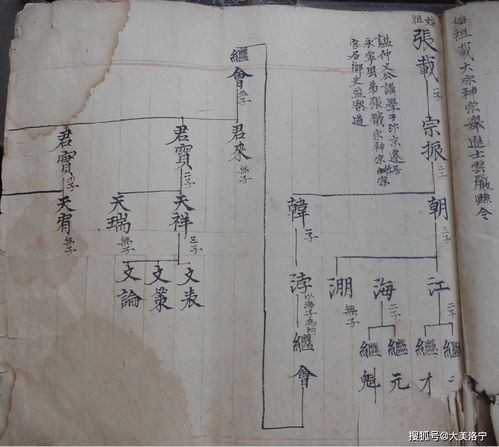 6. 家族文化底蕴:堂号与家训背后保密