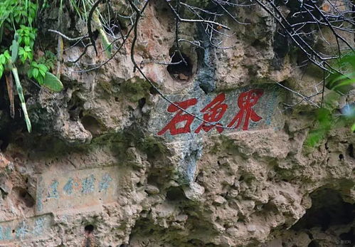 抚仙湖大裂谷：大自然的鬼斧神工