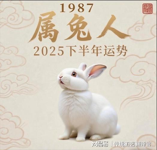 2026年属兔人的运势具体如何？