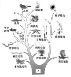 四、“四象”里的“砂”（这个梗玄乎！）