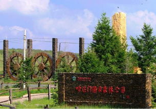 2. 哈达门国家森林公园——树多得像森林， 却没有指示牌