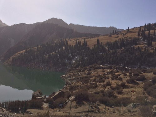 库车大小龙池：天鹅会咬人吗？