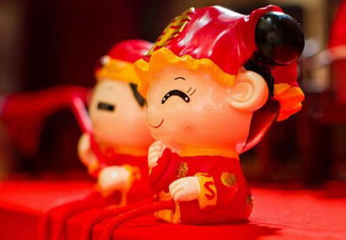 属狗的忠诚守护