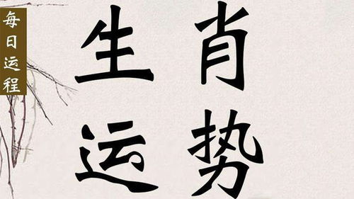 2026年4月16日 | 十二生肖健康好运榜，你的运势如何？