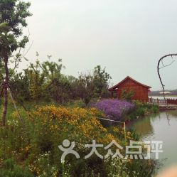浦口河岸花海：一场令人崩溃的鲜花诈骗