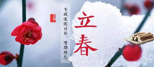 立春：迎春祈福，春耕播种，开启新一年的希望与活力