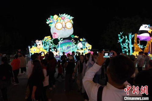 彩灯游园会？小心密恐发作！
