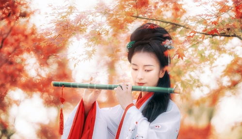 天选之人还是倒霉蛋？2026年童子命暴富指南