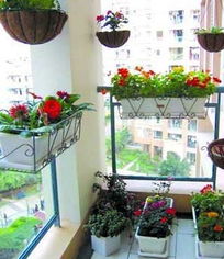 酒庄摆什么花好,酒庄里的风水布局