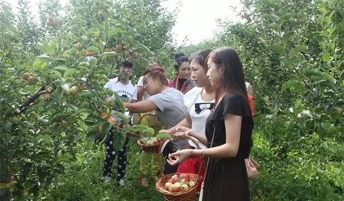 采摘乐趣：体验农耕的乐趣