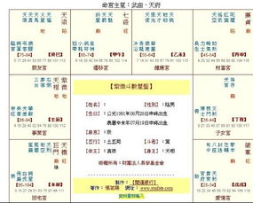 如何通过综合分析个人命格的各个方面？