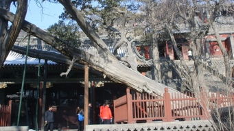 傍晚漫步（噪声混杂）