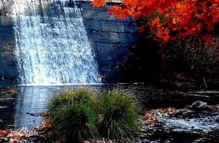 交通指南：一场噩梦之旅