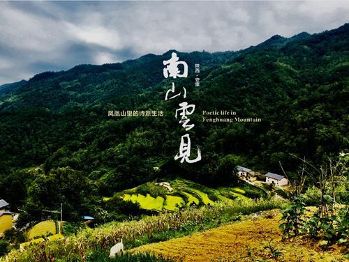 四季变换， 凤凰山的魅力依老