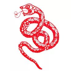 属蛇木命女性在2026年的运势具体表现如何？