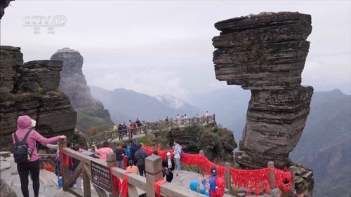 老君山的呼唤：一个被遗忘的仙境