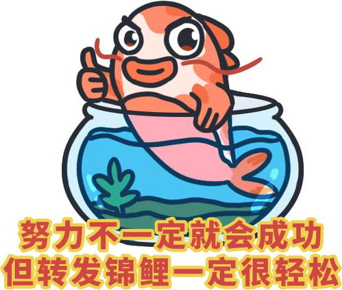 星座大杂烩：年底发财指南