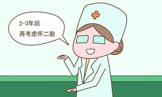 2026年择吉大法：乱中有序