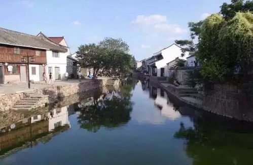 水上的生意经也是门学问