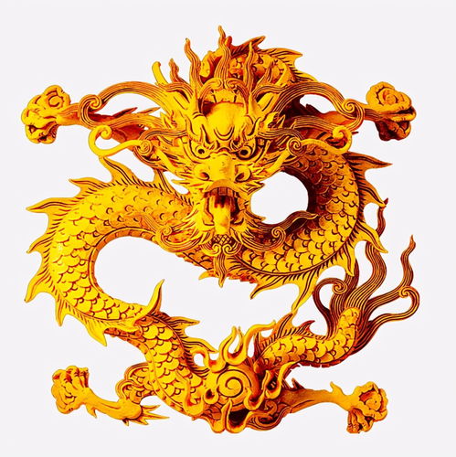龙争虎斗！2025年财富大比拼