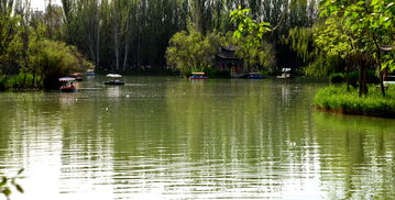 酒泉泉湖公园：一场让人欲哭无泪的奇幻冒险