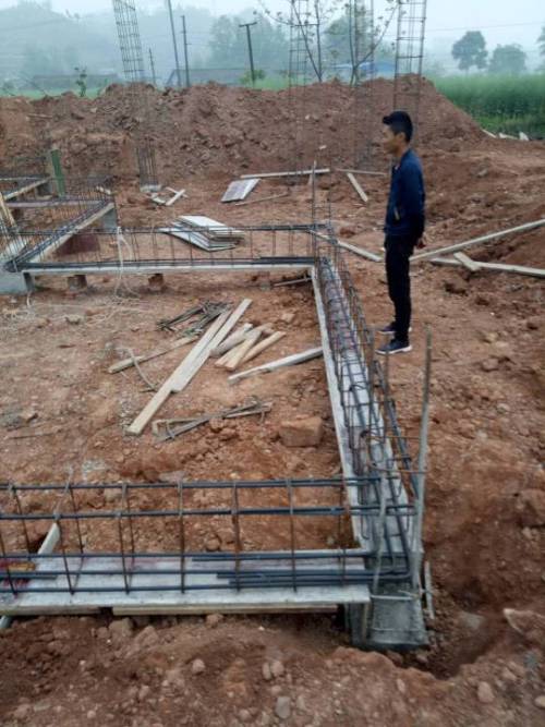 房子下面有树根风水上好不好,树根长到房子地基下面风水