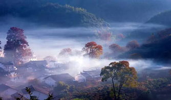 第三天：江岭，在花海里迷失自我