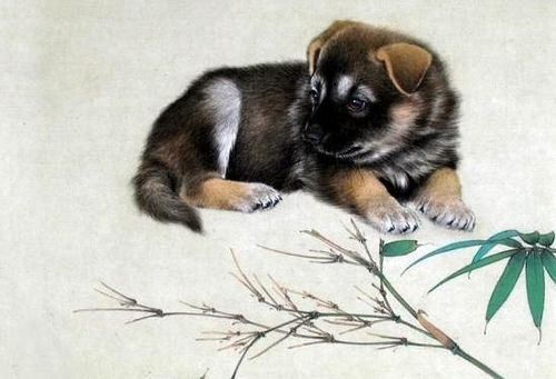 1970年属狗人2026年农历正月运势和财运分析具体如何？