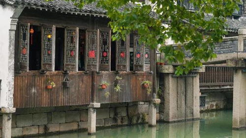 惯与那个花瓶…