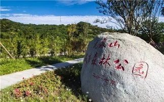 拍照技巧：如何在人海中脱颖而出