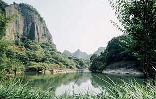 武夷山：茶香与尘埃交织