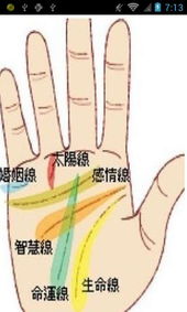 科比手相图分析，有哪些特点或含义？