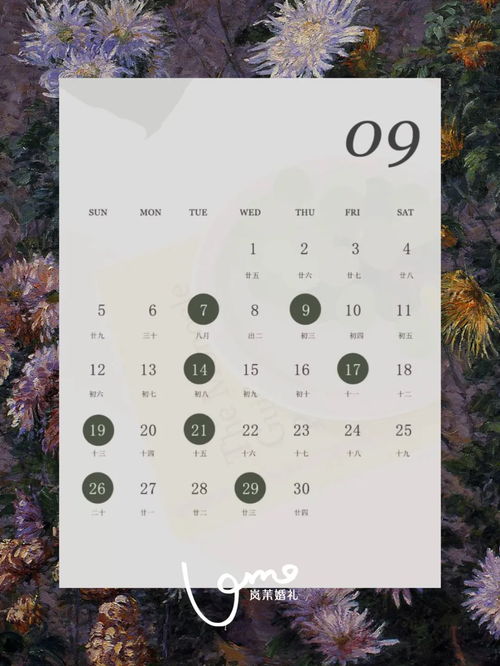 金秋九月，天时地利人和：一个老古董的瞎叨叨