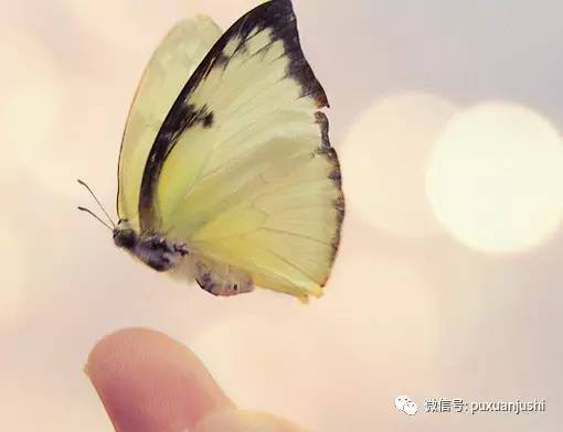 人有贵气是什么八字特征,人有贵气是什么八字特征呢