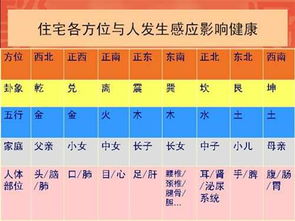 1.1 为什么房子会让人生病？