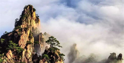 泰山：王者之巅还是王者之坑？