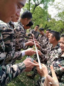 二、 人群动态：舞蹈而不是静止