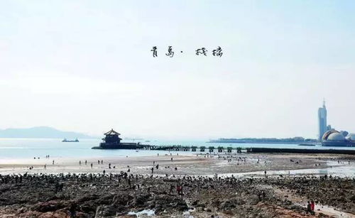二、 历史与现实的混搭：看看那些游客