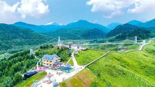 采摘后的核桃， 能够做成甜点或者直接食用，每一种口感都带有浓厚的地方特色和温暖情怀。