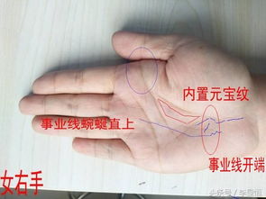 命运线（生命之路）的百变形态