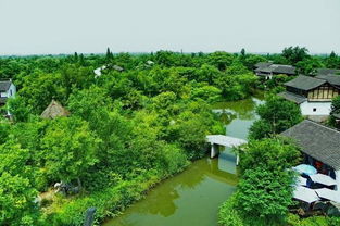 西溪湿地：蚊子军团总部